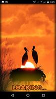 Sunset Wallpaper HD 포스터