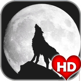 Wolf Wallpapers HD ikona