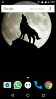 Wolf Wallpapers HD Affiche
