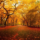 Autumn HD Wallpaper آئیکن