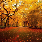 Autumn HD Wallpaper-icoon