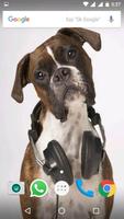 Boxer Dog HD Wallpapers screenshot 1