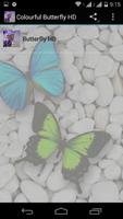 Colourful Butterfly HD Affiche