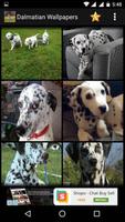 Dalmatian Dog HD Wallpapers ภาพหน้าจอ 2