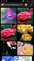 Flowers Wallpapers HD 스크린샷 3