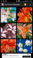 Lily Flower Wallpaper HD capture d'écran 3
