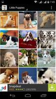 2 Schermata Cute Little Puppies Wallpapers