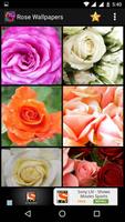 2 Schermata Rose HD Wallpapers