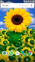 Sunflower HD Wallpaper screenshot 1