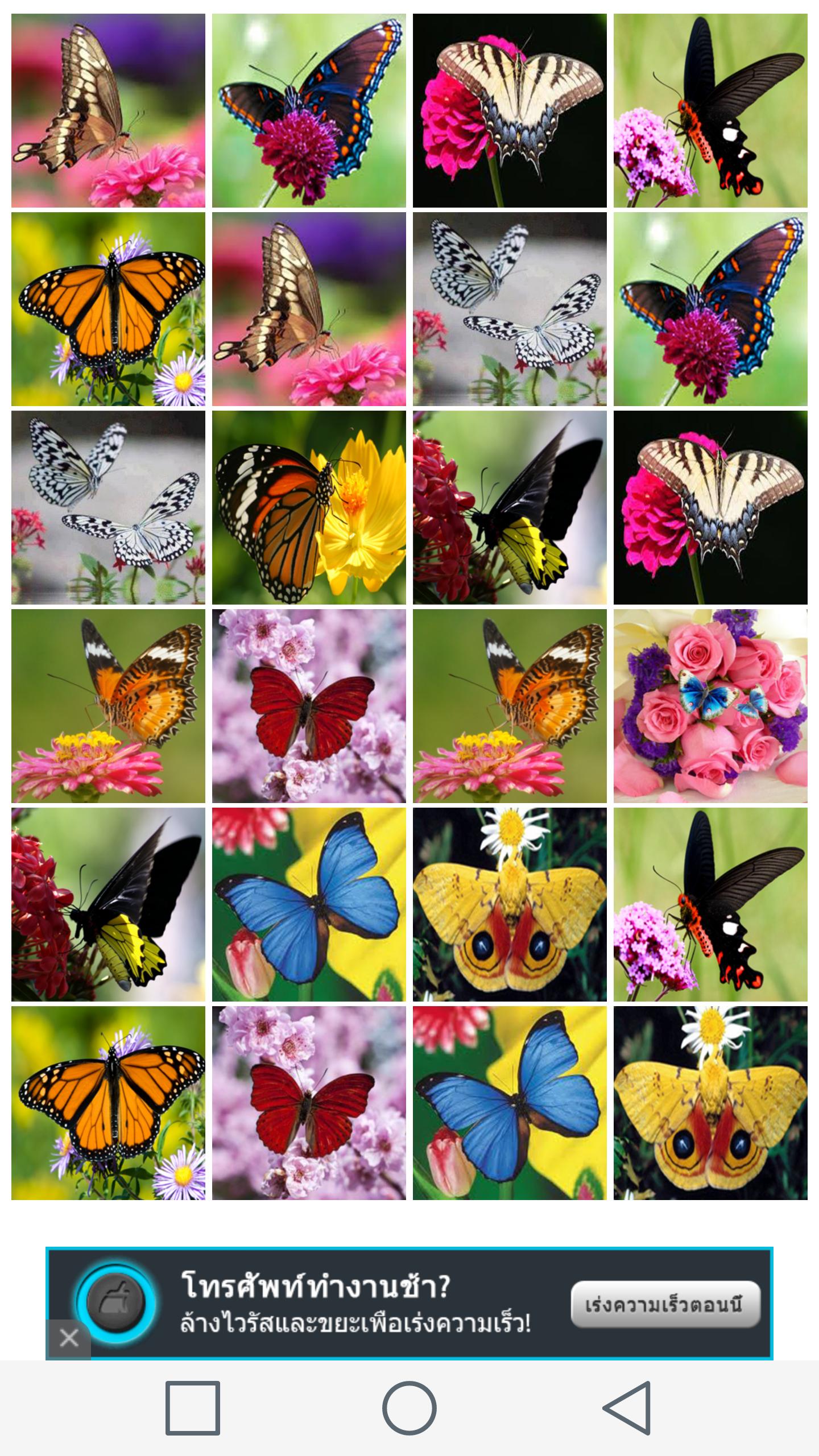 Игры бабочки 3. Игра бабочки. Бабочка из игры. Коллекция бабочек в играх. Мир бабочек игра.