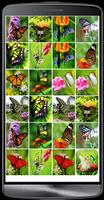 Butterfly matching تصوير الشاشة 1