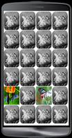Butterfly matching تصوير الشاشة 2