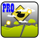 Duck Shooting APK