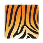 Asset Tiger icon