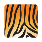 Asset Tiger icône