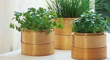 DIY, Creative Crafts of Bamboo 截图 2