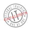 IT Catalunya 圖標