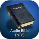 Audio Bible (NIV) icône