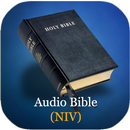 Audio Bible (NIV) APK