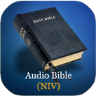 Audio Bible (NIV) icon