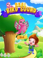 Birds Sounds And Memory Puzzle Affiche