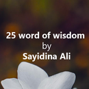 Words of Wisdom Sayidina Ali APK