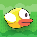 Flappy bird