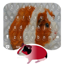 My Guinea Pig Keyboard Theme APK