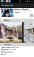 Dogs Breeds FREE screenshot 2