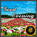 Good Evening flowers APK