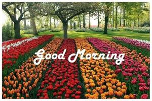 Good Morning Greetings পোস্টার