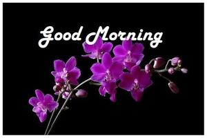 Good Morning Flowers اسکرین شاٹ 3