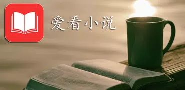 爱看小说