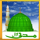 Madani Channel Live Streaming APK