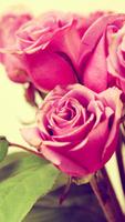 Flower wallpapers HD screenshot 3