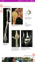 Human Anatomy imagem de tela 2