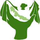 Olintli - Version Demo APK