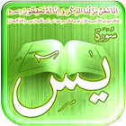 آیکون‌ Surah Yaseen