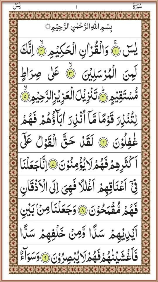 Surah Yaseen For Reading