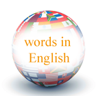 English Words icône