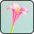 Bunga origami