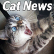 The Cat News