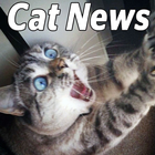 The Cat News biểu tượng