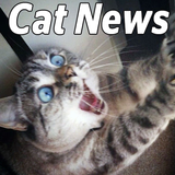 The Cat News 아이콘