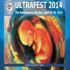 Ultrafest-2014 icon