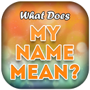 Name Meaning-Best Name Meaning APK