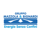 Mazzola & Bignardi Srl আইকন