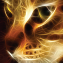 Come here Kitty Sounds APK