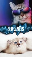 Kitty Purr Sounds Plakat