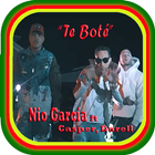 Te Boté ft.Casper,Darell-Nio García (Musica)-icoon